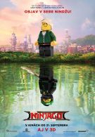 LEGO NINJAGO FILM  1